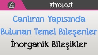 Canlının Yapısında Bulunan Temel Bileşenler  İnorganik Bileşikler [upl. by Adlen]