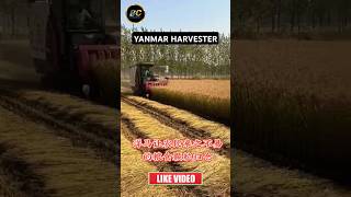 Yanmar harvester yanmar harvester emotional villagelife khetibadi farming shorts [upl. by Jareb281]