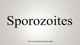 How To Say Sporozoites [upl. by Josiah652]