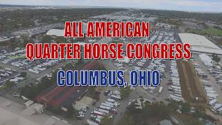 2023 Quarter Horse Congress 2YO Non Pro Western Pleasure Split 2 [upl. by Beutner]