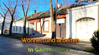 Wohnen und Arbeiten in Gänserndorf [upl. by Anaxor542]