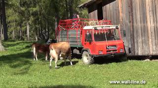 Südtirol Bergbauern bei der Arbeit in Sexten und auf der Seiser Alm [upl. by Aihcrop]