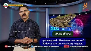 KITE VICTERS STD 09 Biology Class 33 First Bellഫസ്റ്റ് ബെല്‍ [upl. by Jeth]