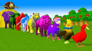 Paint amp Animals Duck Cow Gorilla Lion chicken Elephant Fountain Crossing Turtle Cartoon Game [upl. by Jerold374]