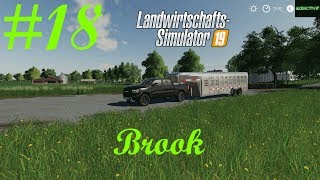 LS19  Brook  LP18 Projekt Ende [upl. by Pliner789]