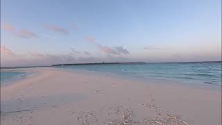 Sandbank Breakfast at Soneva Fushi [upl. by Armahs]