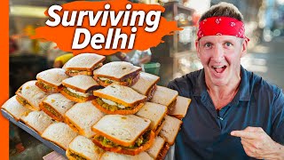 How India Survives without Meat Delhis AntiMeat Street Food [upl. by Verger]