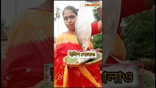 ইলিশ পোলাও রেসিপি🐟🤤 minivlog mamsfamily2683 ytshorts ilish recipe ilish pulao [upl. by Aisatna]