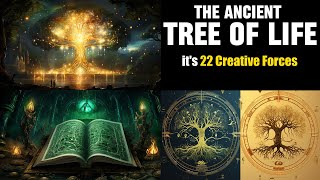 The Ancient Tree of Life and its 22 Creative Forces [upl. by Moscow]