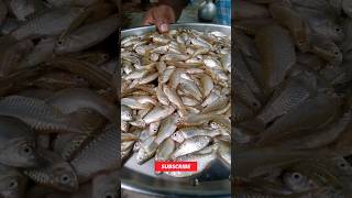 Small Fish Curry  Chhoti Machhali Kaise Banayeshortsvideo [upl. by Ahseka]