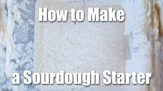 How To Make A Sourdough Starter  Video Recipe [upl. by Eada558]