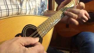 Tarantella Napoletana  Italian Mandolin music by Antonio Calsolaro [upl. by Ellah811]