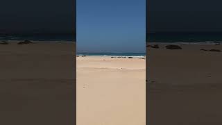 Sand dunes in the Corralejo National Park Fuerteventura [upl. by Notak224]