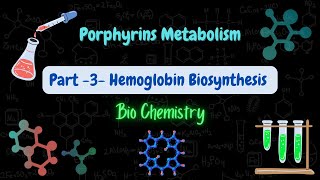 Porphyrins Metabolism  part 3 Hemoglobin Biosynthesis استقلاب البورفيرينات والهيموغلوبين [upl. by Idnahc]