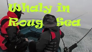 Whaly 370 in Rough Sea  Nor Cal Rockfish Opener 2022 [upl. by Faxun]