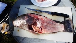 How to Fillet a Fish quick and easy way [upl. by Nordna359]