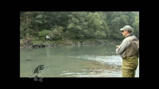 Trout Magnet The Twitch Method [upl. by Enirol13]