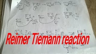 Reimer tiemann reaction mechanism heterocyclic [upl. by Scornik]