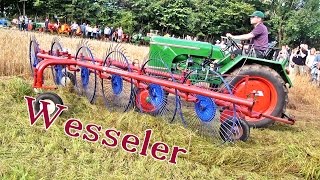 Traktor Special ✰ Wesseler ➤ Reporter  Historischer Feldtag Nordhorn [upl. by Kraska969]