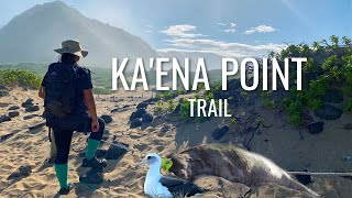 Ka’ena Point hiking trail Best wildlife spot on Oahu Hawaii  Info [upl. by Sug]