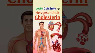 Die besten Getränke für Herzgesundheit und Cholesterin [upl. by Il]