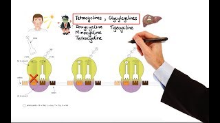 Pharmacology – ANTIBIOTICS – DNA RNA FOLIC ACID PROTEIN SYNTHESIS INHIBITORS MADE EASY [upl. by Esiuqcaj139]