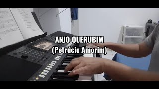 Anjo Querubim Banda Limão com Mel  JP Partituras [upl. by Dlanigger394]