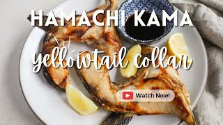 The BEST Hamachi Kama Recipe Tutorial [upl. by Ayenet]