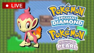 🔴LIVE🔴 SHINY HUNTING STARTER CHIMCHAR  Pokemon Brilliant Diamond [upl. by Atinid]