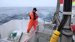 Cod fishing in Norway [upl. by Lovering304]