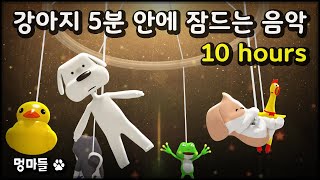 강아지가 5분 안에 잠드는 음악 10시간 멍마들 강아지 오르골 자장가  Music for the dog to fall asleep in 5 minutes 10 hours [upl. by Car]