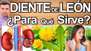 DEBES TOMAR DIENTE DE LEON HOY  Poderoso Te De Diente De Leon En Ayunas Cura Todo  Para Qué Sirve [upl. by Ayiotal]