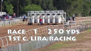 Race 1 C LIRA RACING [upl. by Musser497]