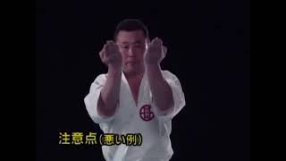 Seienchin  Kata amp Bunkai  Shito Ryu Karate [upl. by Nya]