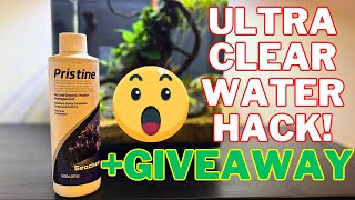 Seachem Pristine Review  How to Clear Aquarium Water  GIVEAWAY [upl. by Nelyag]