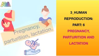 Ch 36 HUMAN REPRODUCTION PREGNANCY PARTURITION AND LACTATIONNCERT BASED ASSESSMENTCBSEISC 12 [upl. by Yeleek]