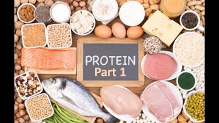 proteins biochemistry protein structure protein synthesis protein foods protein powder [upl. by Moises]