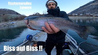 Forellenjagd am Lungernsee 🐟  WildFishTV [upl. by Jobey]