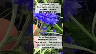 Анонс еженедельного прямого эфира с клиентом СОБИРАЕМ УРОЖАЙ [upl. by Anzovin]