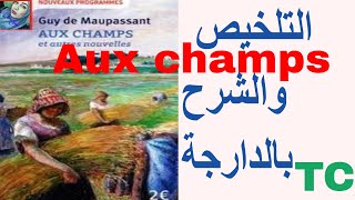 Aux Champs بالعربية  de Guy de Maupassant  2021 ترجمة وشرح3TCFrancais avec SARAH  en darija [upl. by Hillard981]