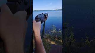 Finnish semiauto hunting rifle Valmet m88 Petra quotHunterquot shorts short youtubeshorts [upl. by Si796]