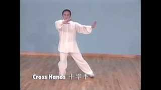 Simplified Tai Chi 24 form demo YMAA Taijiquan Yang style by Liang ShouYu [upl. by Graaf]