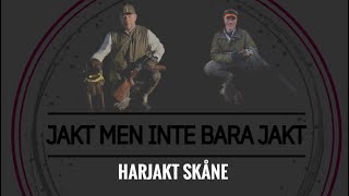 Harjakt Skåne [upl. by Eiffe]