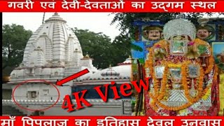 पिपलाज माता मंदिर उनवास का संपूर्ण इतिहास  PIPLAJ MATA MANDIR UNWAS [upl. by Sherlock761]