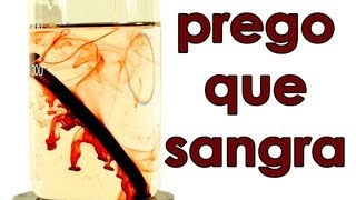 O prego que sangra SuperQUÍMICA [upl. by Madriene]