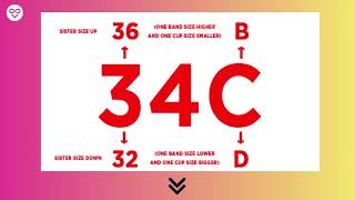 What is the difference between 34C and 34B bra sizes [upl. by Carn]