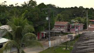 Viagens Pela Amazônia  II Festival da Sardinha Jutaí [upl. by Ahsenid955]