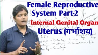 Uterus in hindi  गर्भाशय  Layer of uterus  Parts of uterus with weightlengththickness [upl. by Analeh426]