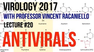 Virology Lectures 2017 20 Antivirals [upl. by Kozloski648]