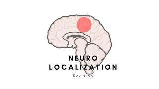 Neurology  Localizing a lesion neurolocalization Stroke  MS  Palsy  Motor neurons [upl. by Myrna26]